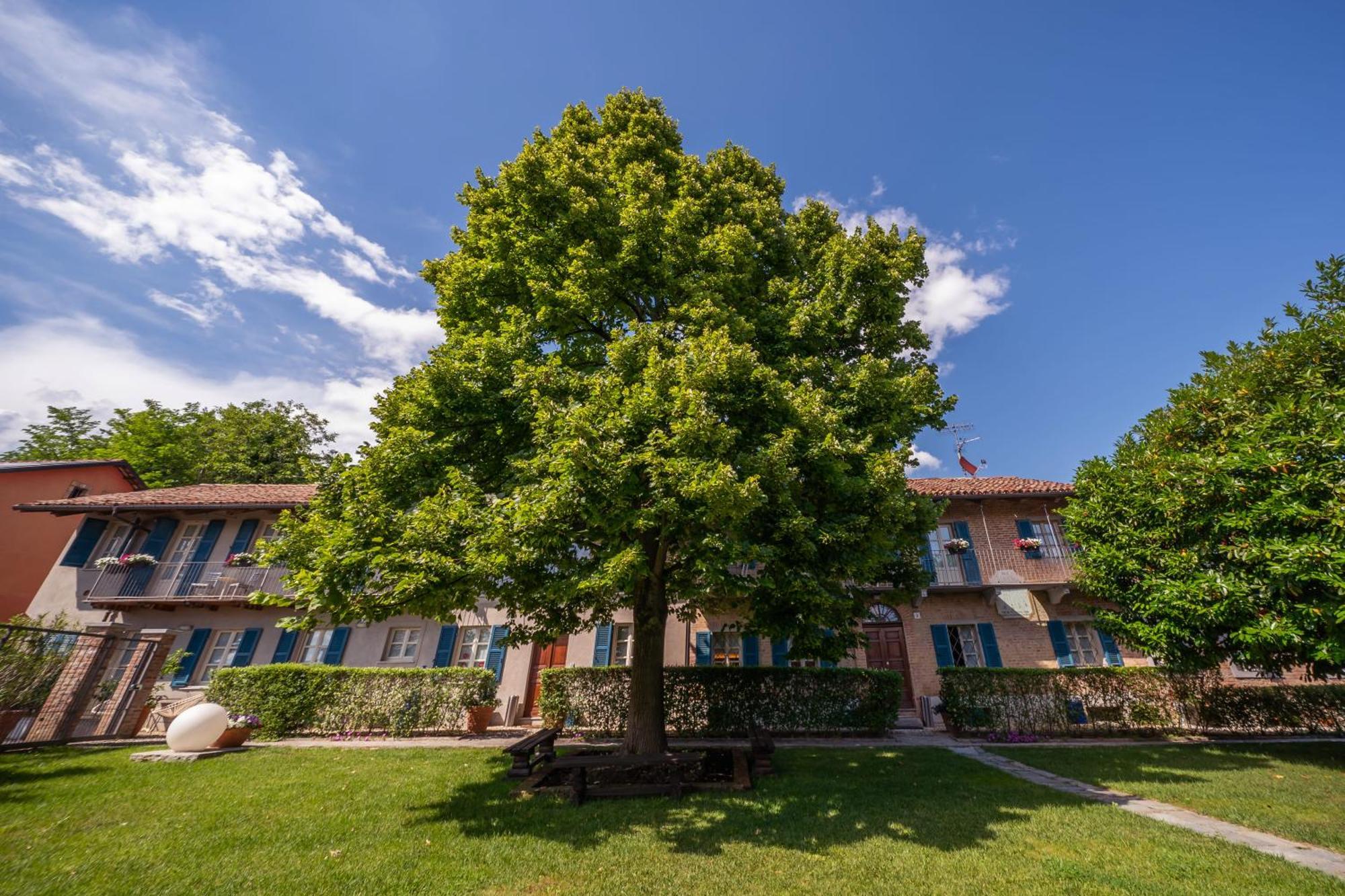 La Madernassa Resort - Casalora Dimora Storica Di Charme Guarene Dış mekan fotoğraf